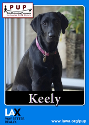 PUPs_Keely
