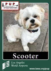 PUPs_Scooter