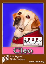 cleo.png