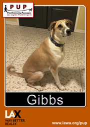 pups_gibbs.png