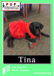 pups_tina.png